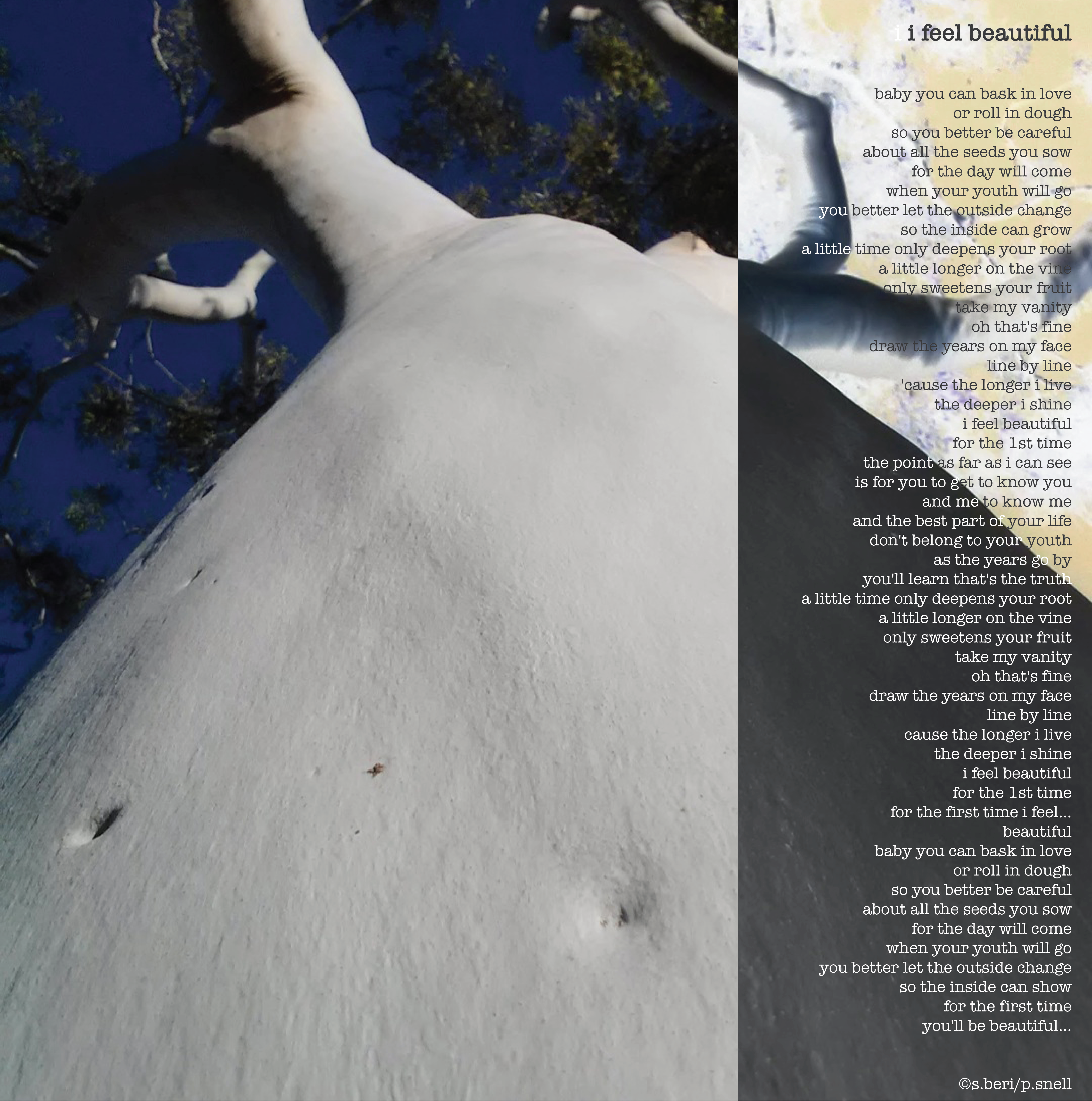 cicada project brood x i feel beautiful